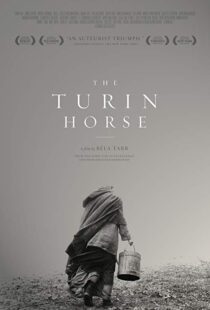 دانلود فیلم The Turin Horse 201110493-1520313110