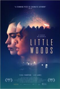 دانلود فیلم Little Woods 201822292-248548841