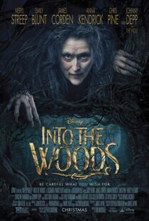 دانلود فیلم Into the Woods 20143675-235775142