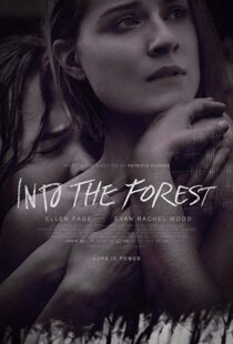 دانلود فیلم Into the Forest 20159776-1661599697