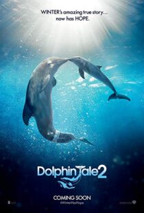 دانلود فیلم Dolphin Tale 2 201421312-872963897