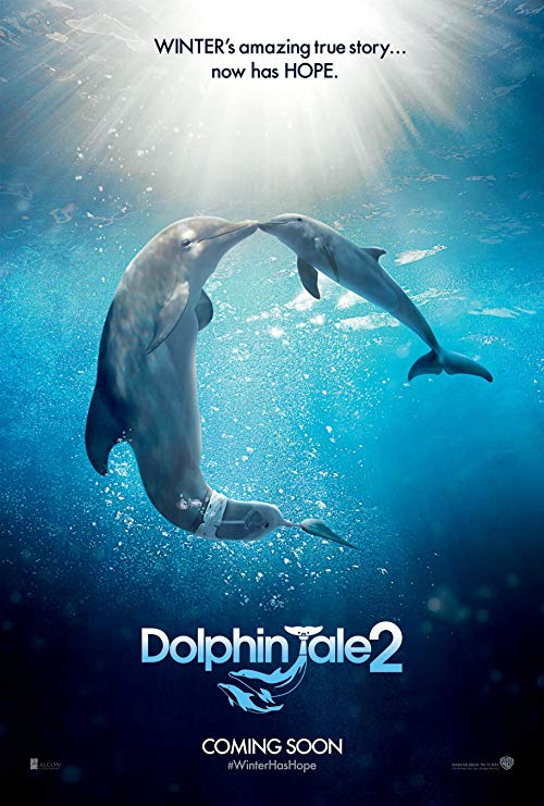 دانلود فیلم Dolphin Tale 2 2014