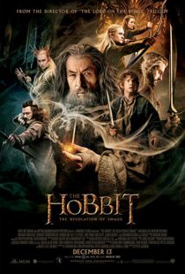 دانلود فیلم The Hobbit: The Desolation of Smaug 2013196262-873326893