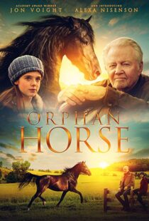 دانلود فیلم Orphan Horse 20188125-1771867509