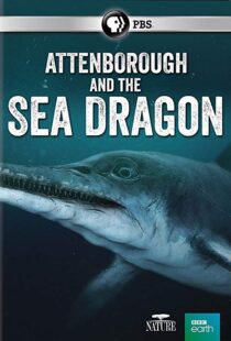 دانلود مستند Attenborough and the Sea Dragon 20188753-1140947571