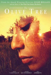 دانلود فیلم The Olive Tree 201615934-2070303872