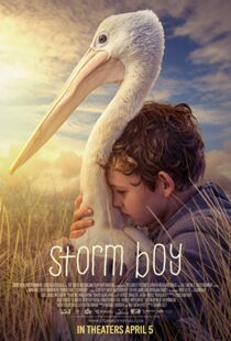 دانلود فیلم Storm Boy 20199003-1519319308