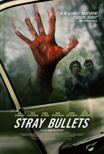 دانلود فیلم Stray Bullets 20169530-1151495151