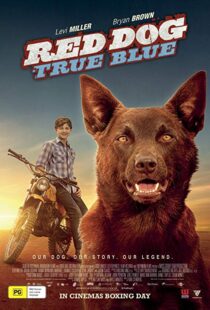 دانلود فیلم Red Dog: True Blue 20168899-779357384