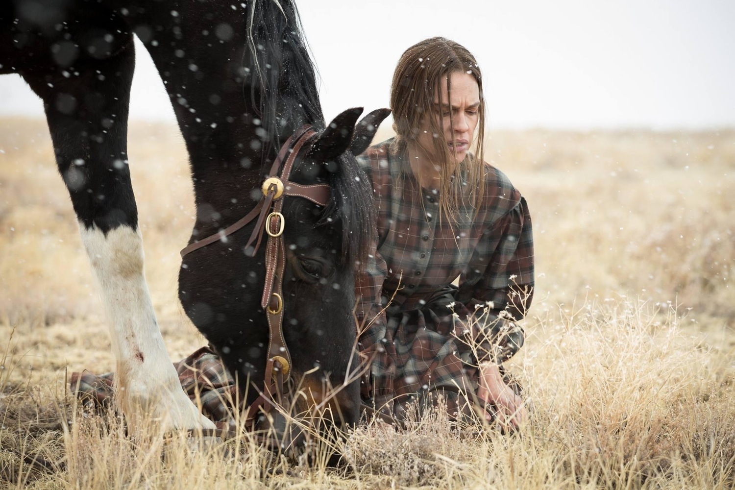 دانلود فیلم The Homesman 2014