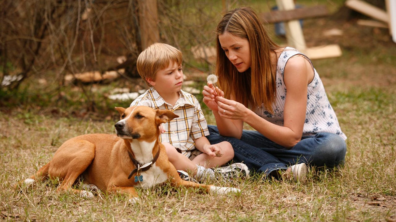 دانلود فیلم Like Dandelion Dust 2009