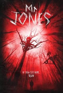 دانلود فیلم Mr. Jones 201337611-1140730705