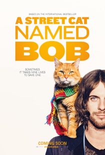 دانلود فیلم A Street Cat Named Bob 201641621-1751329846