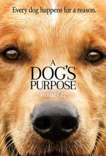 دانلود فیلم هندی A Dog’s Purpose 201741616-965329294