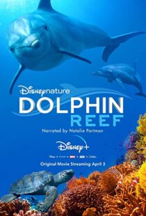 دانلود مستند Dolphin Reef 201838724-349319290