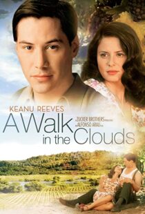 دانلود فیلم A Walk in the Clouds 199553815-1638569949