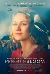 دانلود فیلم Penguin Bloom 202073302-1916004423