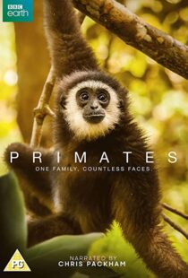 دانلود مستند Primates77865-503356173