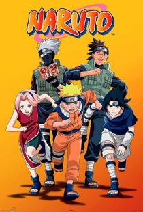 دانلود انیمه Naruto80387-47931290