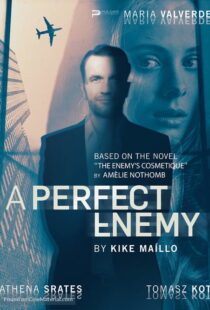 دانلود فیلم A Perfect Enemy 202082295-1452062479