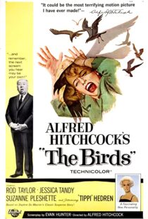 دانلود فیلم The Birds 196382372-1529709516