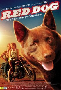 دانلود فیلم Red Dog 201187414-497383710