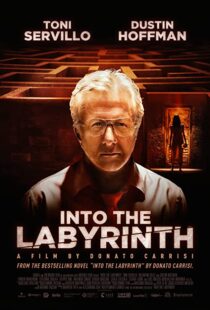 دانلود فیلم Into the Labyrinth 201991141-1365143719