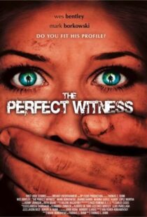 دانلود فیلم The Perfect Witness 200796937-438800927