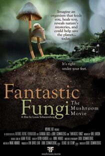 دانلود مستند Fantastic Fungi 2019100518-995413129