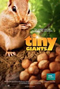 دانلود مستند Tiny Giants 3D 2014109664-976453318