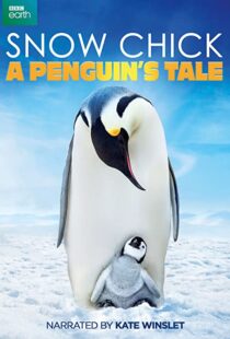 دانلود مستند Snow Chick: A Penguin’s Tale 2015109604-1667233609