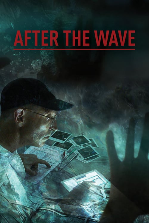 دانلود مستند After the Wave 2014