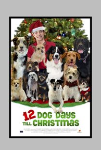 دانلود فیلم 12 Dog Days Till Christmas 2014100712-1854421394