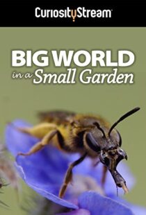 دانلود مستند Big World in a Small Garden 2016102965-1412520606