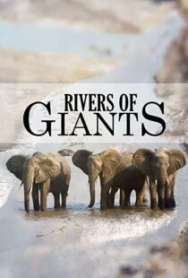 دانلود مستند Rivers of Giants 2005102245-2038502548