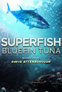 دانلود مستند Superfish Bluefin Tuna 2012101607-848243026