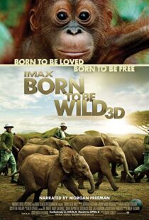 دانلود مستند Born to Be Wild 2011110503-104526948