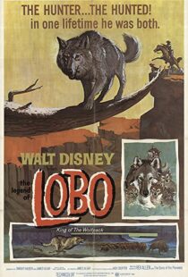 دانلود فیلم The Legend of Lobo 1962111441-1469930114