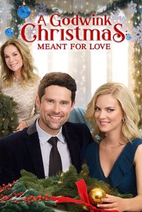 دانلود فیلم A Godwink Christmas: Meant for Love 201931842-1848348664