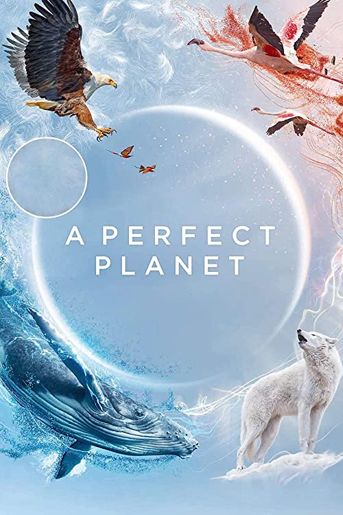 دانلود مستند A Perfect Planet