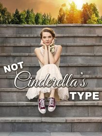 دانلود فیلم Not Cinderella’s Type 2018254350-1772115872