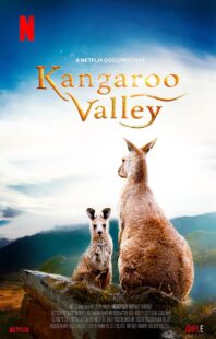 دانلود فیلم Kangaroo Valley 2022322977-1737503156