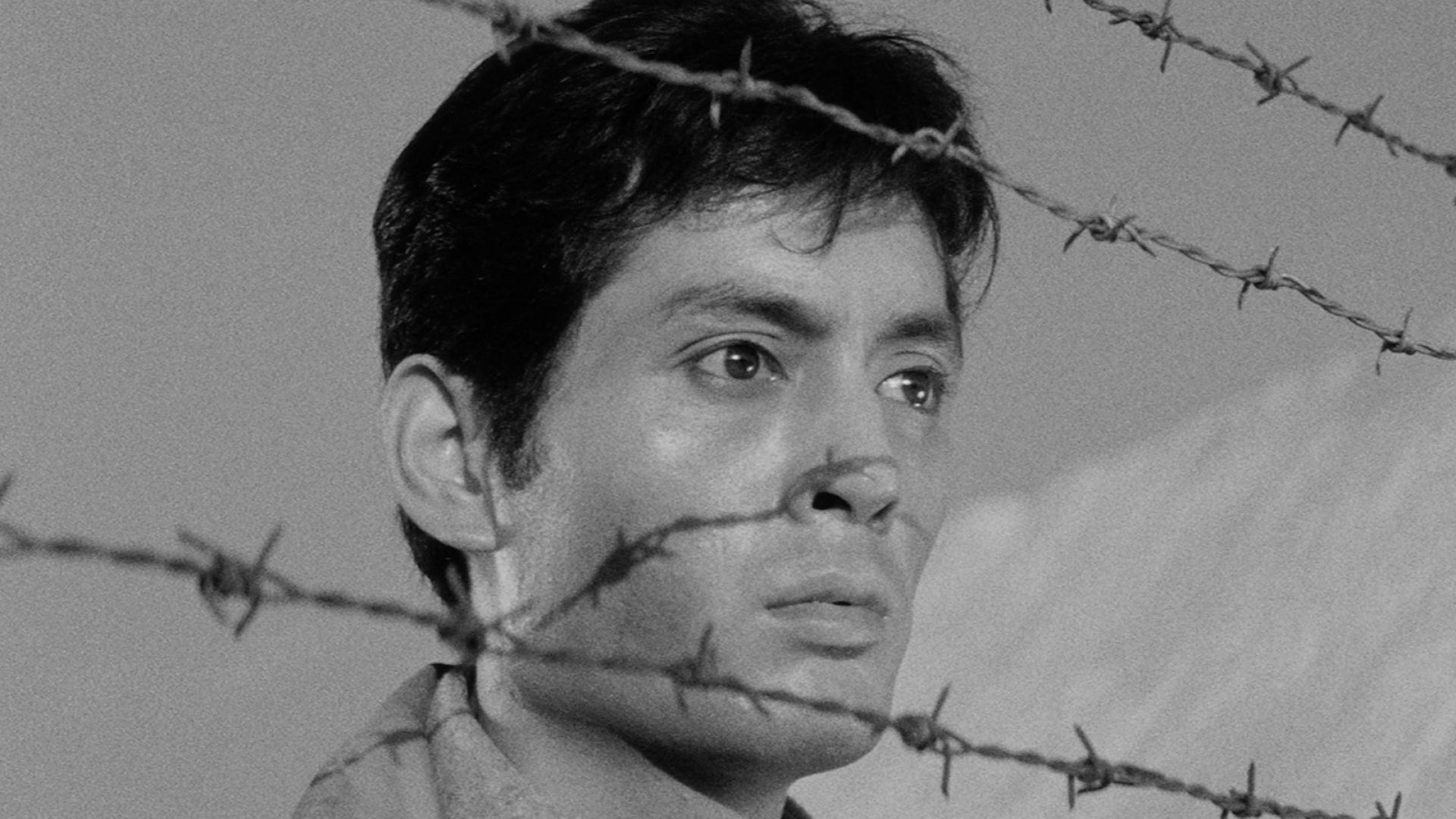 دانلود فیلم The Human Condition I: No Greater Love 1959