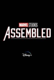 دانلود سریال Marvel Studios: Assembled100150-1642290513