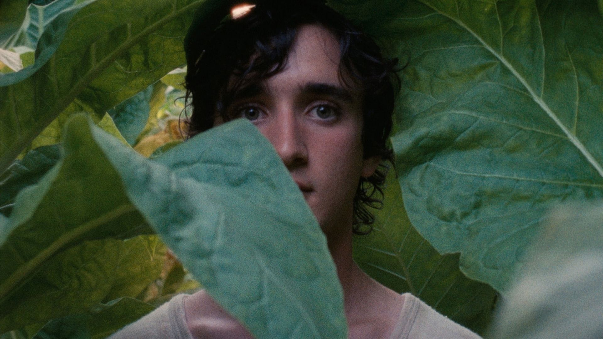 دانلود فیلم Happy as Lazzaro 2018