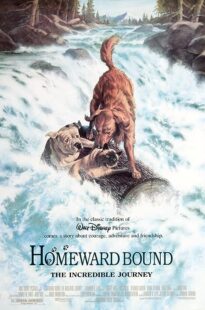 دانلود فیلم Homeward Bound: The Incredible Journey 1993371118-560997757