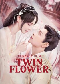 دانلود سریال Romance of a Twin Flower379211-2004955582