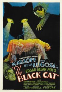 دانلود فیلم The Black Cat 1934378235-256268435