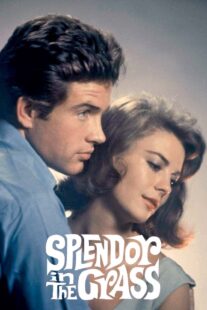 دانلود فیلم Splendor in the Grass 1961382554-1365071108