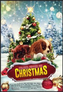 دانلود فیلم Project: Puppies for Christmas 2019390454-1665274513